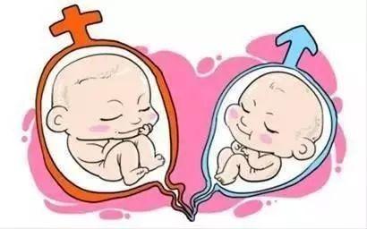 多囊卵巢案例